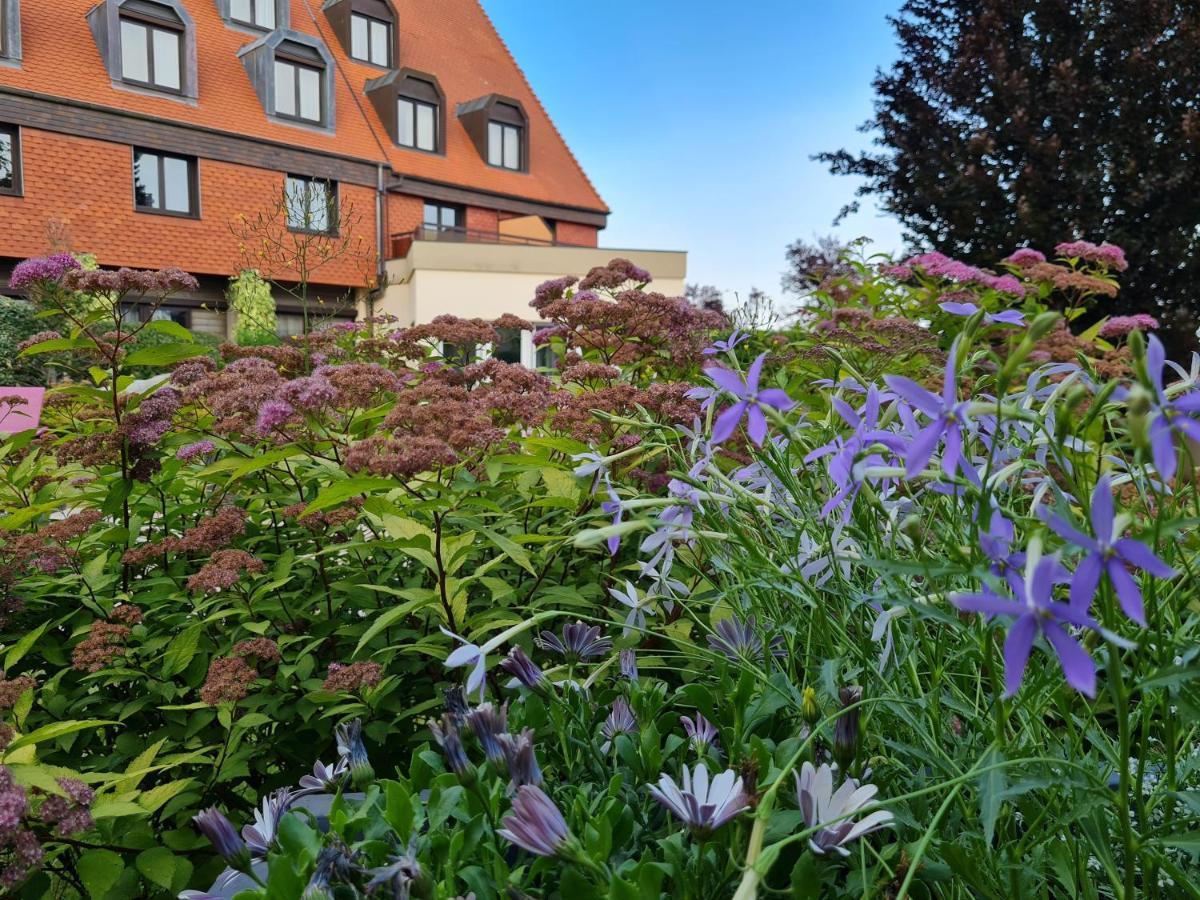 Hotel L'Europe Horbourg-Wihr Exterior foto